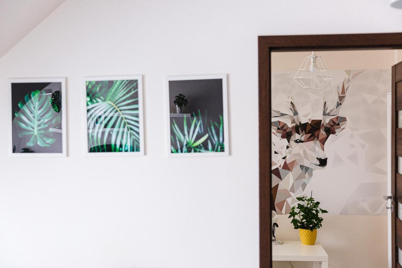 Apartament W Centrum อุสชิกีดอลเน ภายนอก รูปภาพ