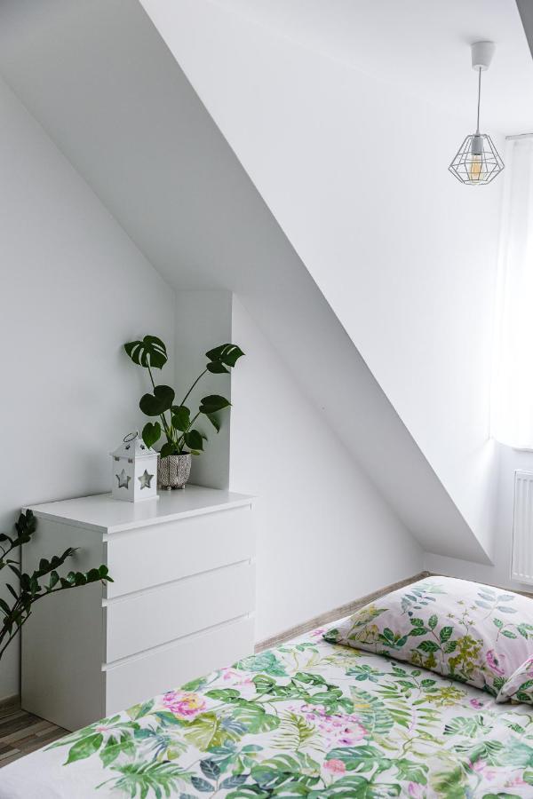 Apartament W Centrum อุสชิกีดอลเน ภายนอก รูปภาพ